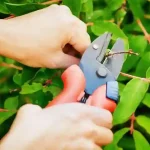 Orange County Tree Removal