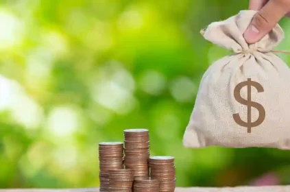 Micro Loan