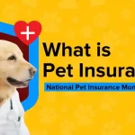 dog insurance