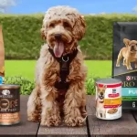 dog food