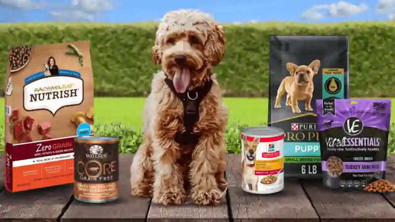 dog food