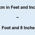 52 Inches in Feet